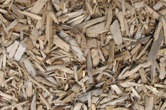 biomass boilers Newton Ferrers